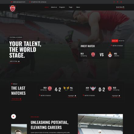 ThemeForest Ballademy