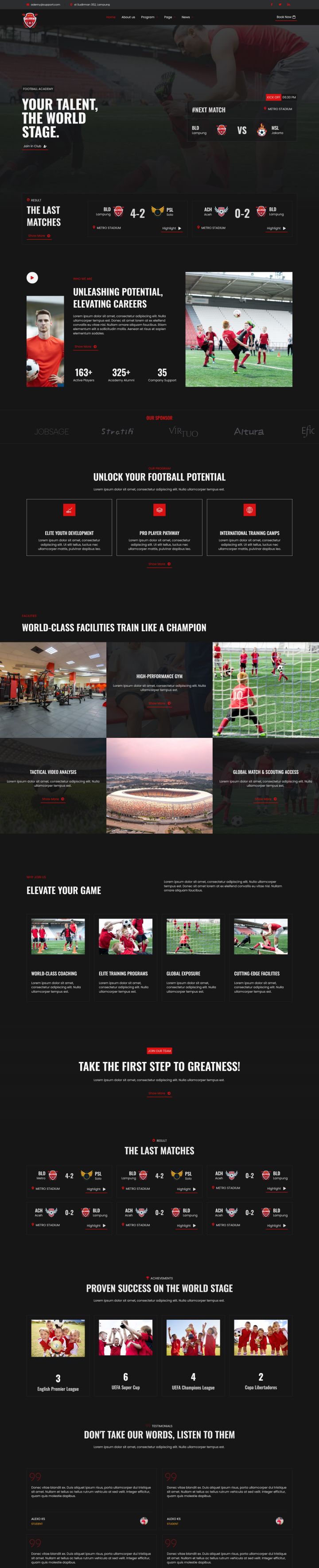 Шаблон ThemeForest Ballademy WordPress шаблон ThemeForest Ballademy