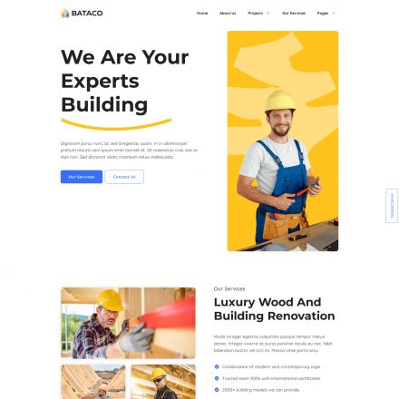 ThemeForest Bataco