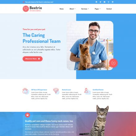 ThemeForest Beetrix