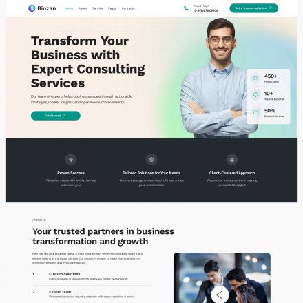 ThemeForest Binzan