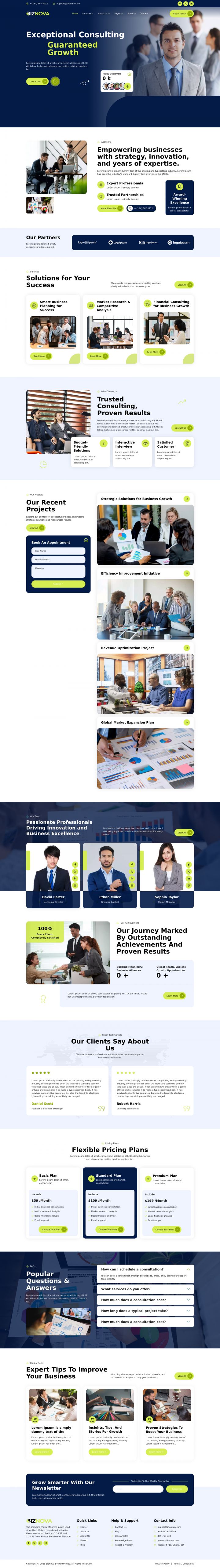 WordPress шаблон ThemeForest BizNova