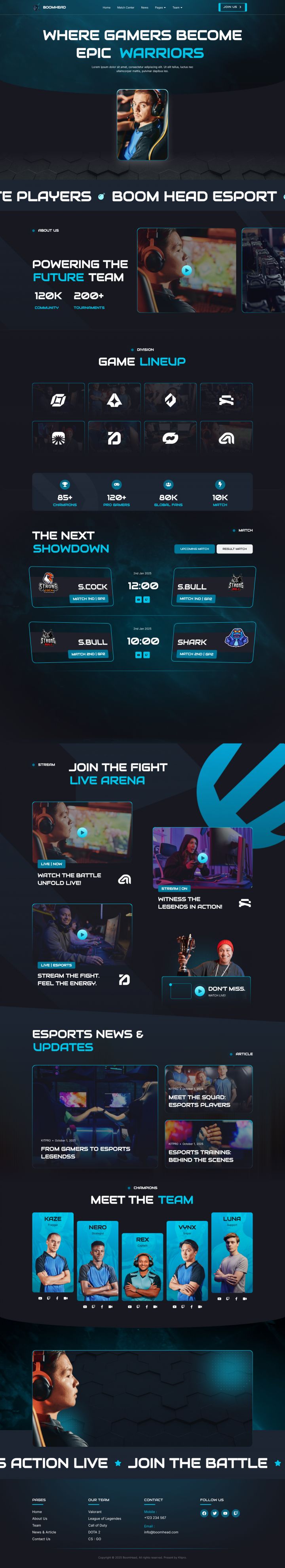 WordPress шаблон ThemeForest BoomHead