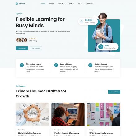 ThemeForest Brainera