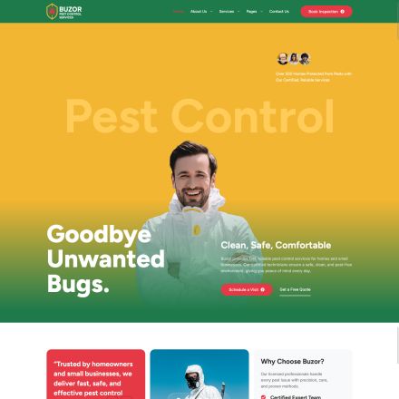 ThemeForest Buzor