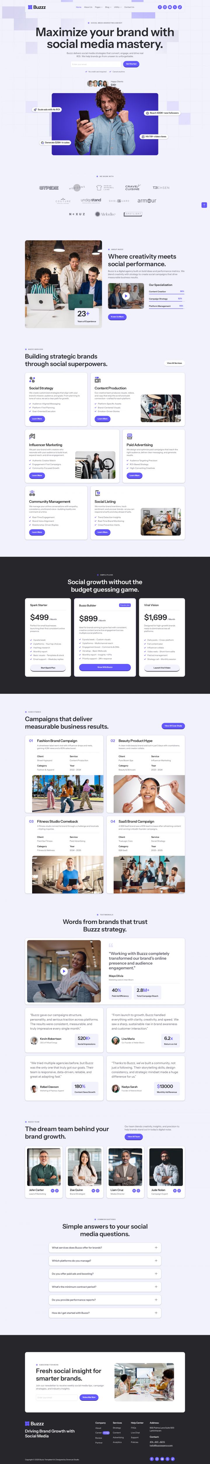 Шаблон ThemeForest Buzzz WordPress шаблон ThemeForest Buzzz