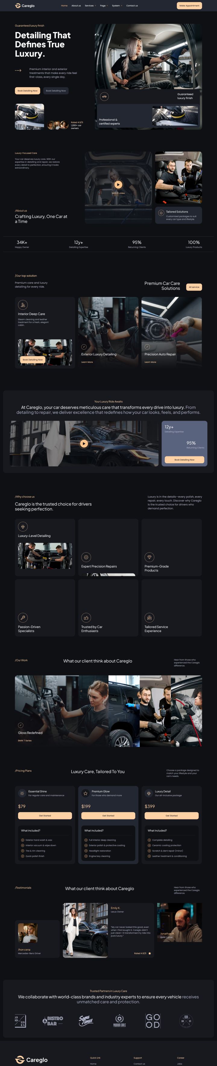 WordPress шаблон ThemeForest Careglo