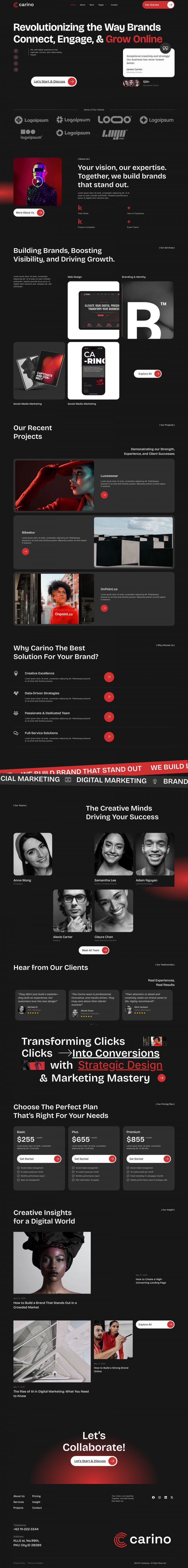 WordPress шаблон ThemeForest Carino