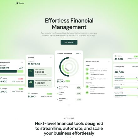 ThemeForest Cashly