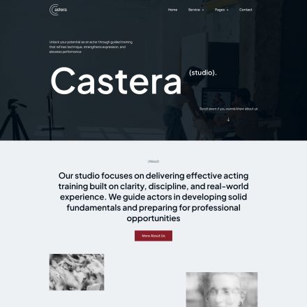 ThemeForest Castera