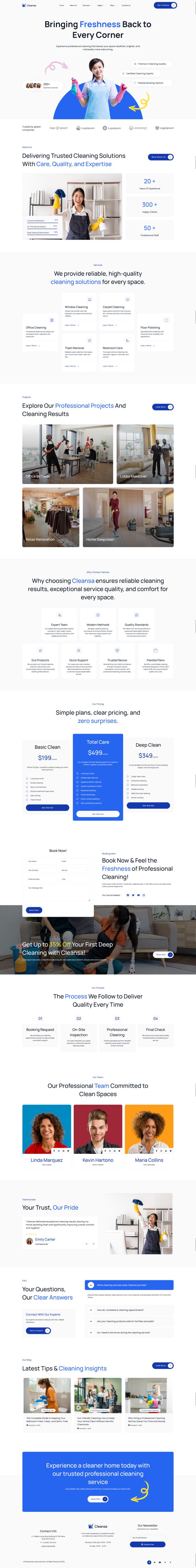 WordPress шаблон ThemeForest Cleansa