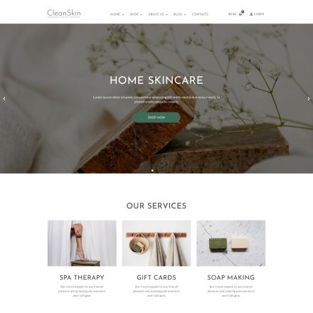 ThemeForest CleanSkin