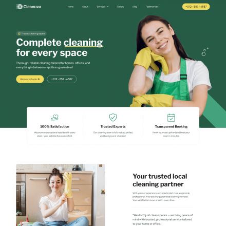 ThemeForest Cleanuva