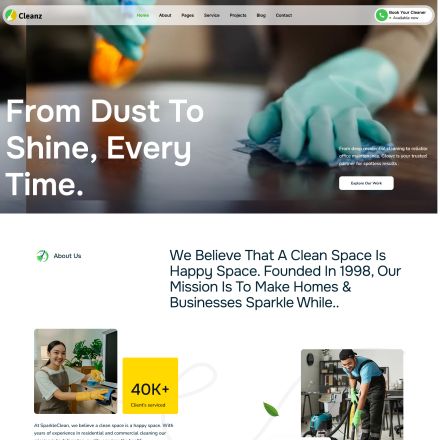 ThemeForest Cleanz