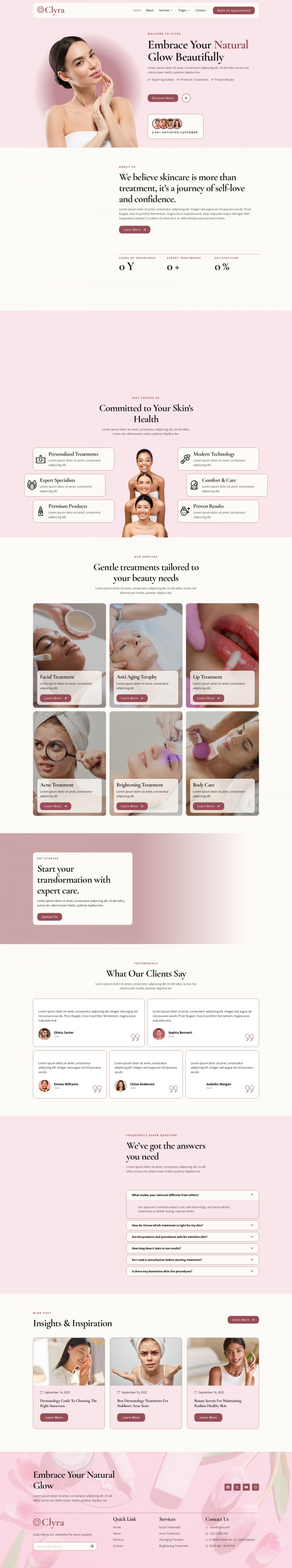 Шаблон ThemeForest Clyra WordPress шаблон ThemeForest Clyra