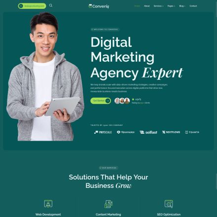 ThemeForest Converiq