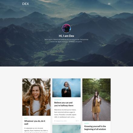 ThemeForest Dex