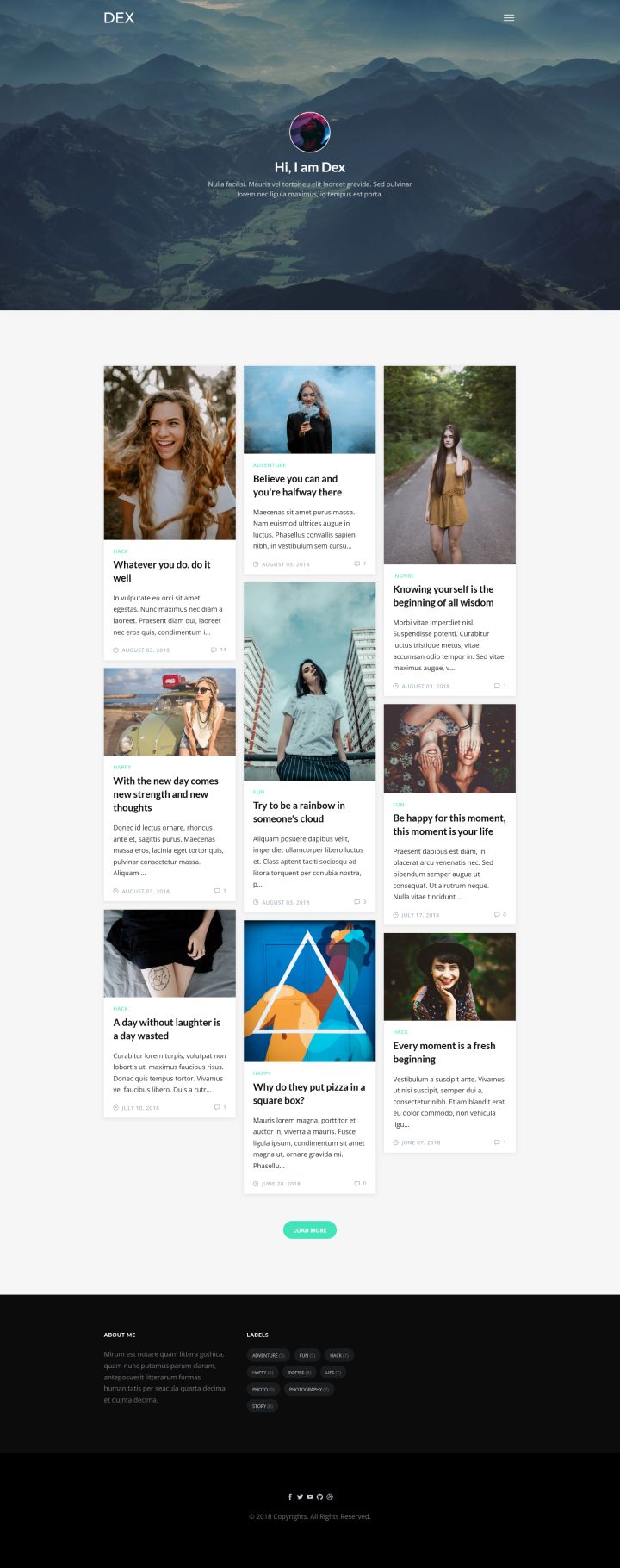 Шаблон ThemeForest Dex WordPress шаблон ThemeForest Dex