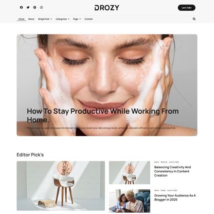 ThemeForest Drozy