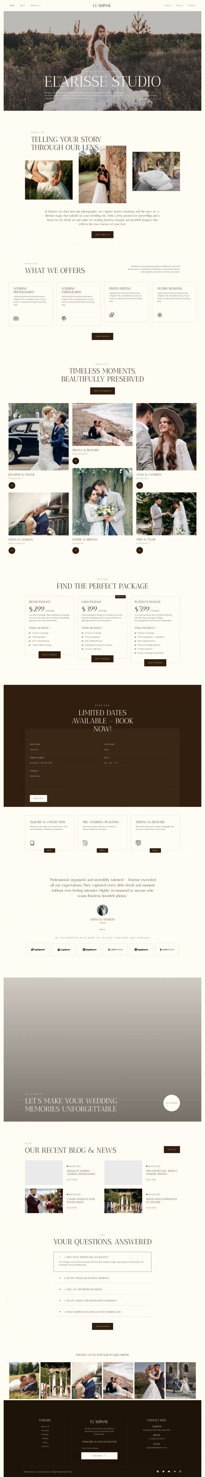 WordPress шаблон ThemeForest Elarisse