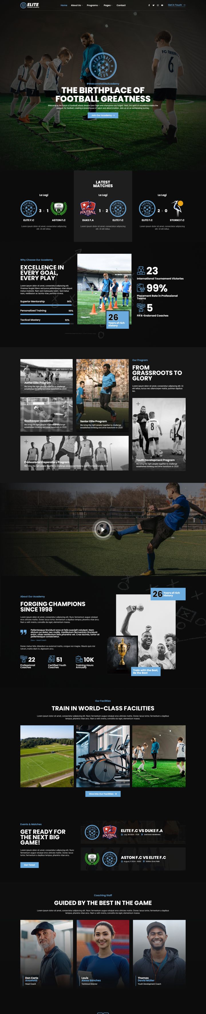 Шаблон ThemeForest Elite WordPress шаблон ThemeForest Elite