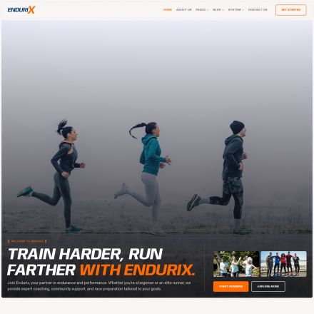 ThemeForest Endurix