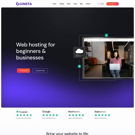 ThemeForest Ginsta