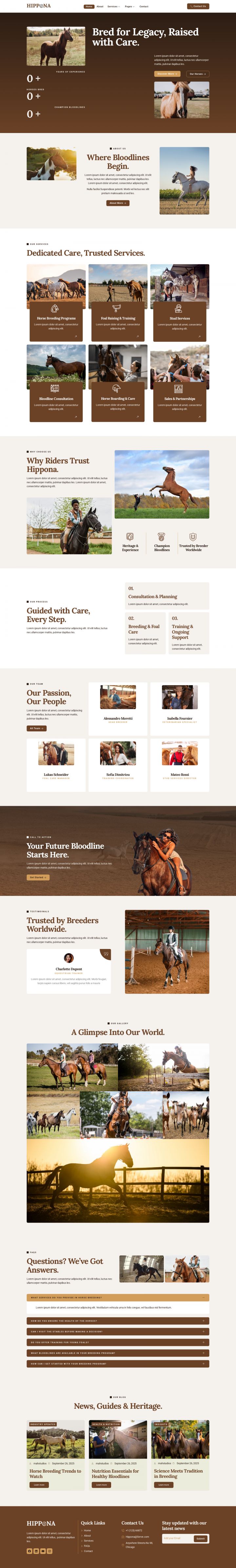 WordPress шаблон ThemeForest Hippona