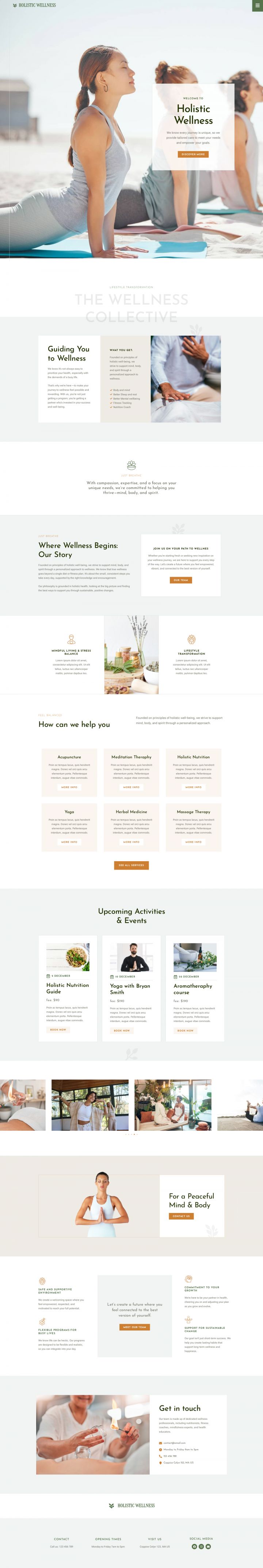 WordPress шаблон ThemeForest Holistic Welness