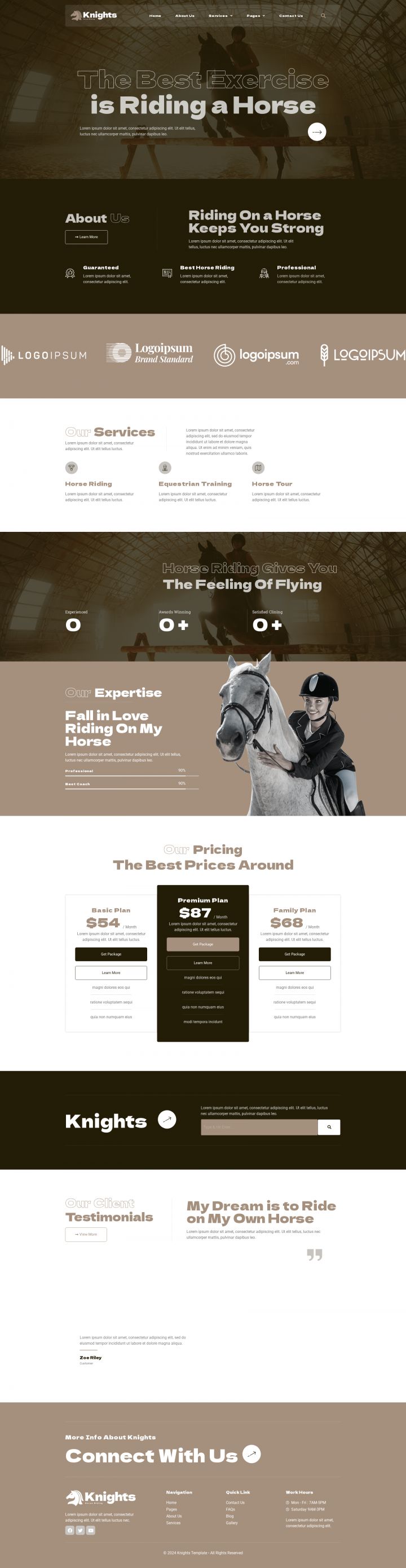 WordPress шаблон ThemeForest Knights