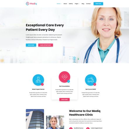ThemeForest Mediq