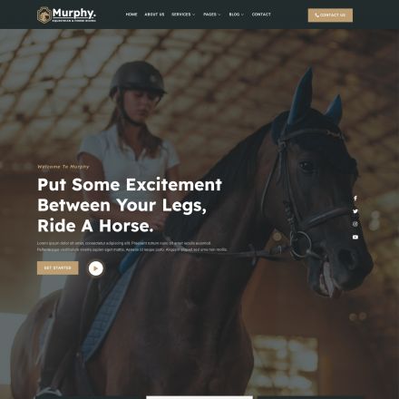 ThemeForest Murphy