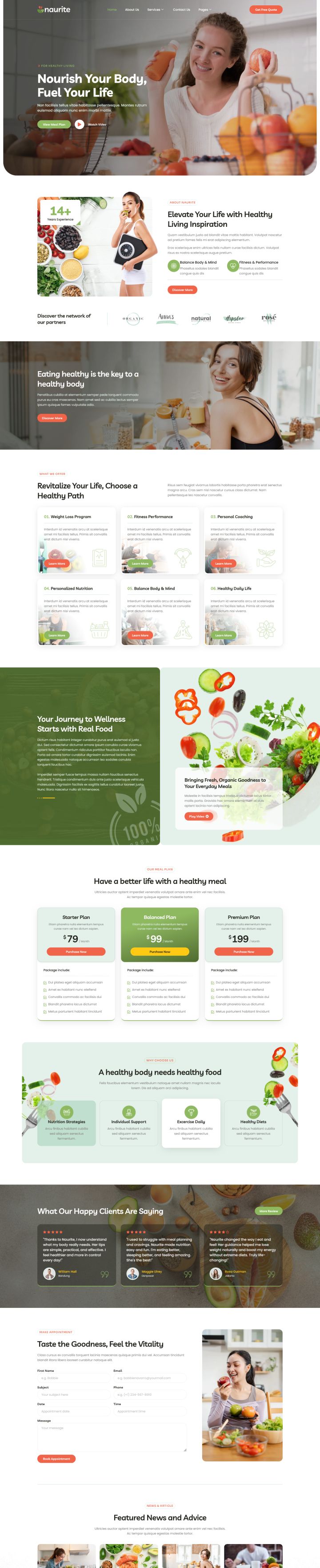 Шаблон ThemeForest Naurite WordPress шаблон ThemeForest Naurite