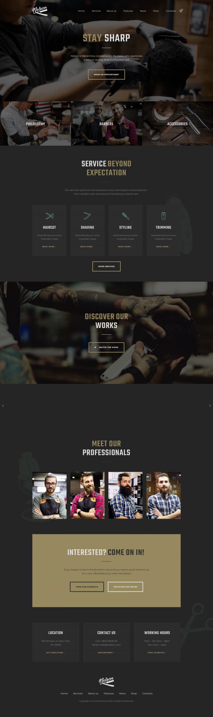 WordPress шаблон ThemeForest Nelson