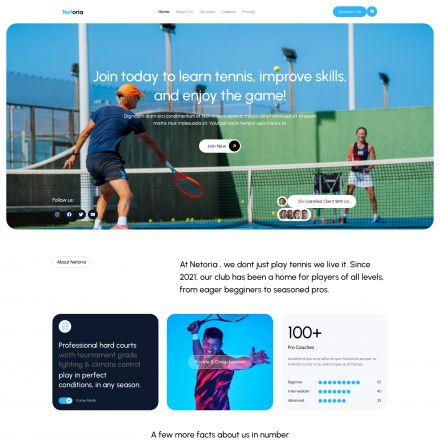 ThemeForest Netoria