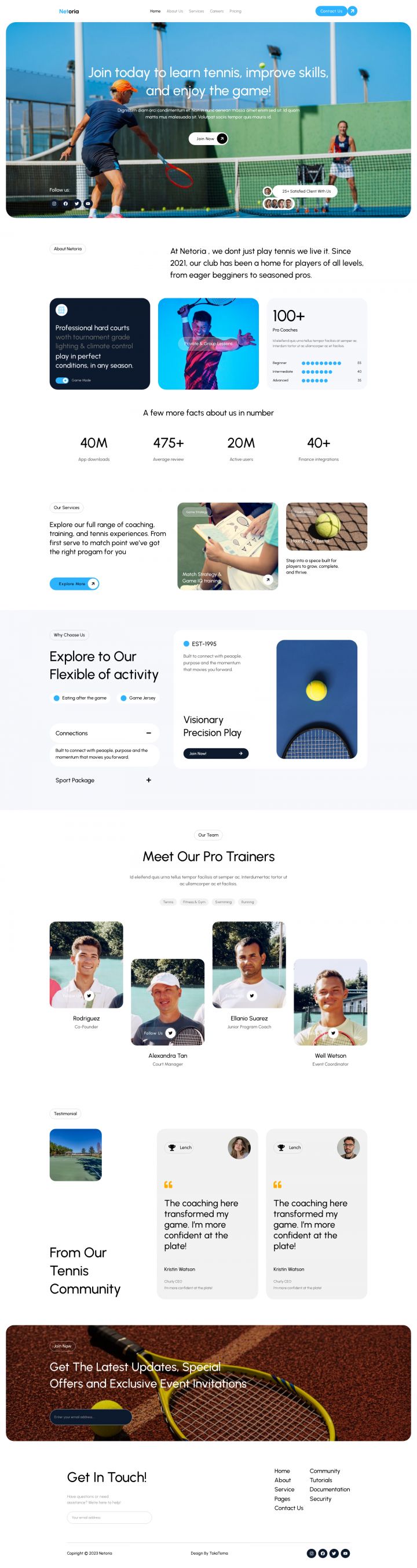 WordPress шаблон ThemeForest Netoria