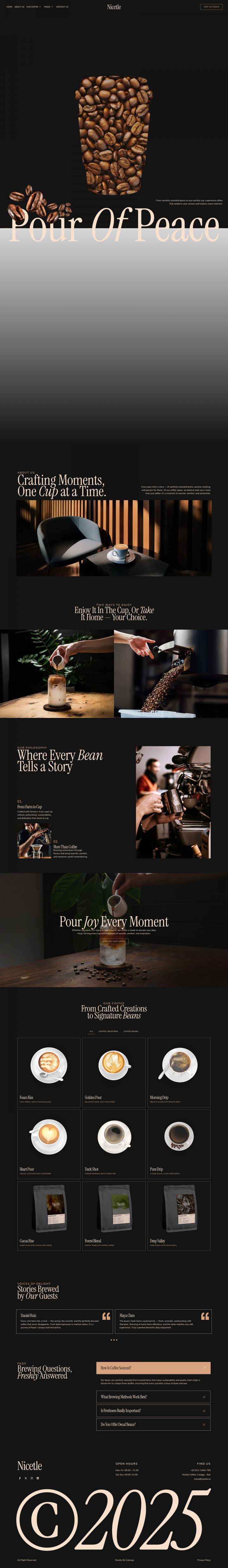 Шаблон ThemeForest Nicetle WordPress шаблон ThemeForest Nicetle