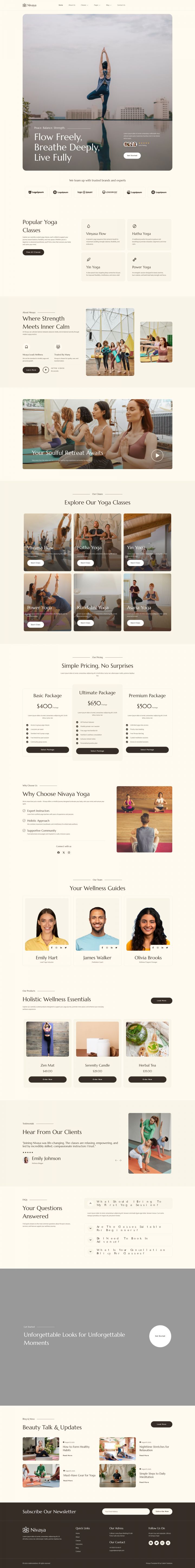 Шаблон ThemeForest Nivaya WordPress шаблон ThemeForest Nivaya