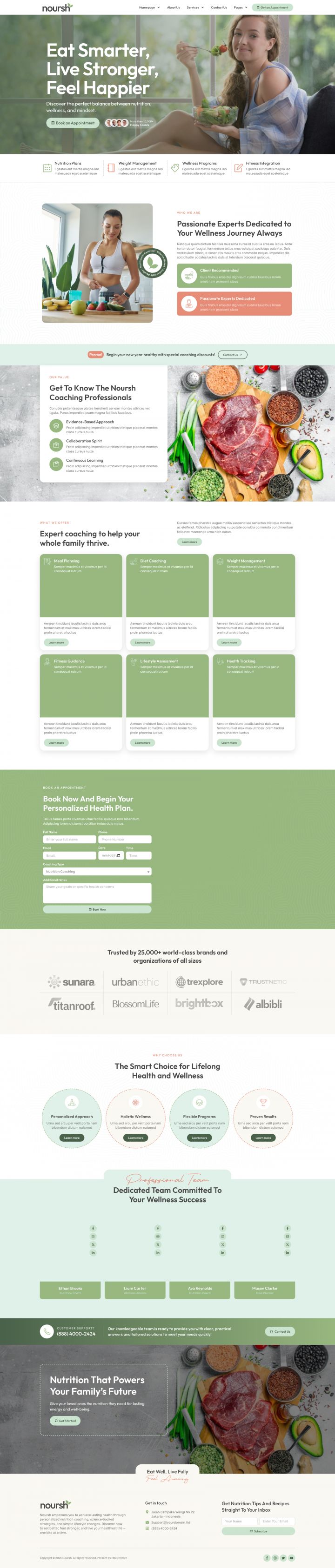 Шаблон ThemeForest Noursh WordPress шаблон ThemeForest Noursh