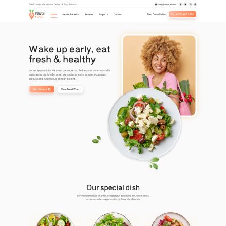 ThemeForest Nutri Food
