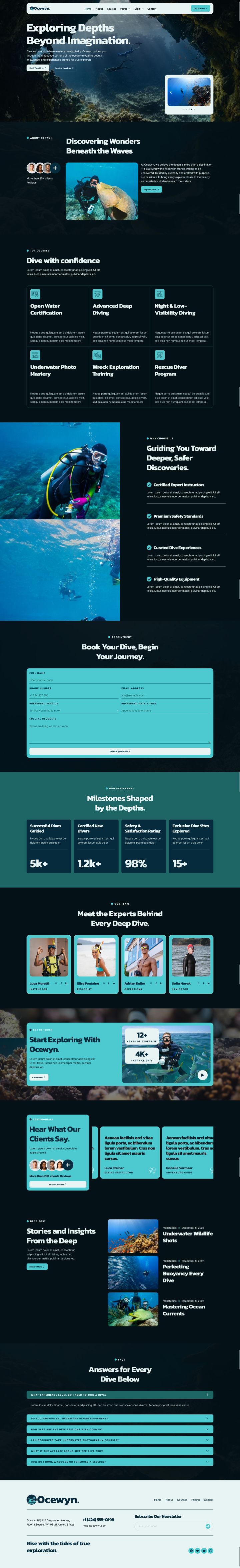 WordPress шаблон ThemeForest Ocewyn