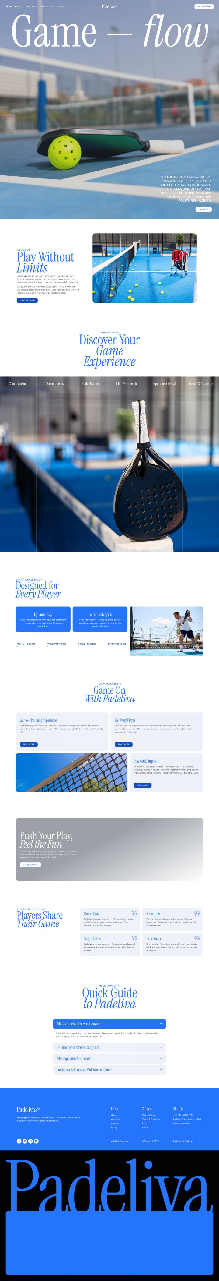 WordPress шаблон ThemeForest Padeliva