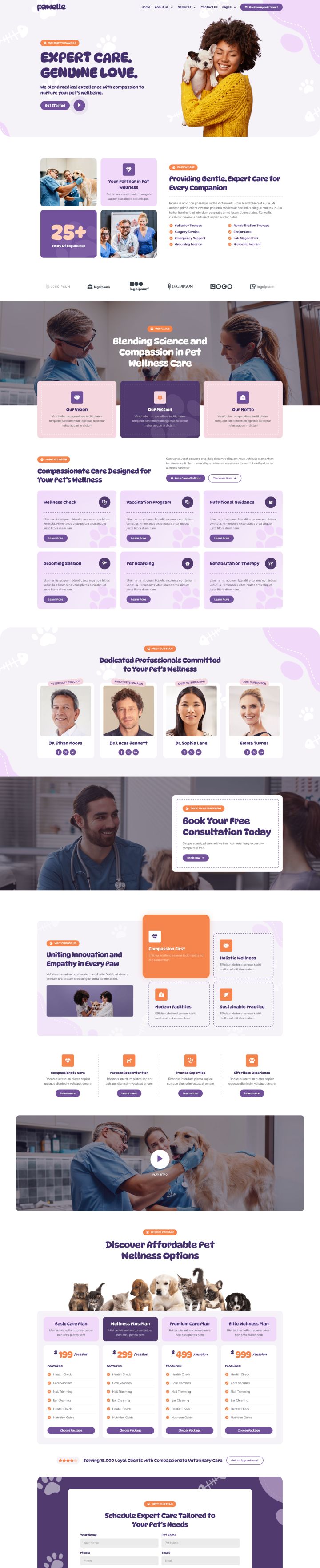 Шаблон ThemeForest Pawelle WordPress шаблон ThemeForest Pawelle