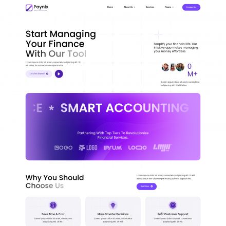 ThemeForest Paynix