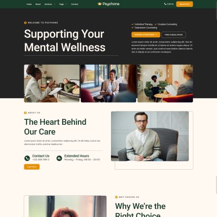 ThemeForest Psychona
