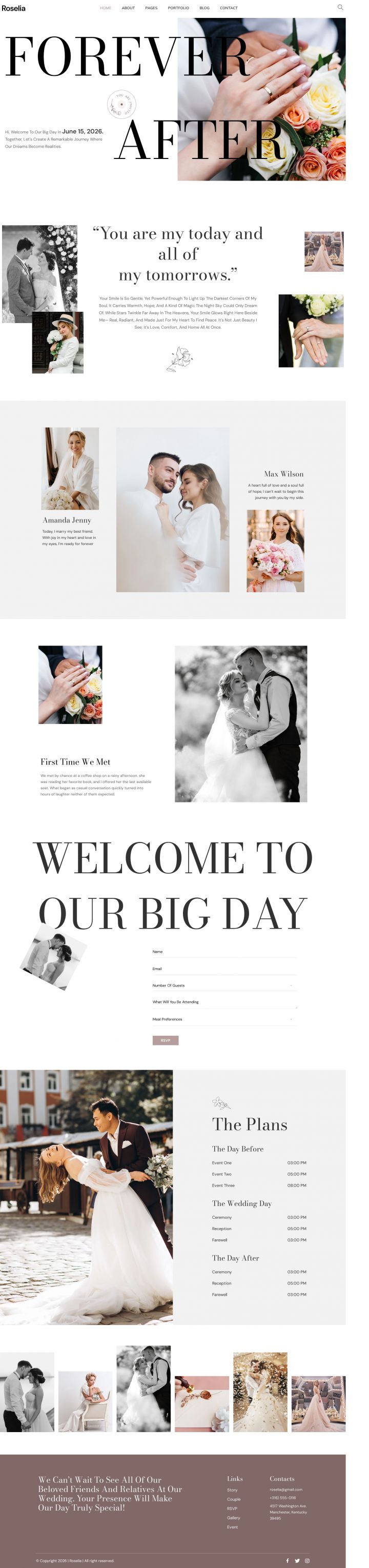 Шаблон ThemeForest Roselia WordPress шаблон ThemeForest Roselia