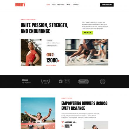 ThemeForest Runity