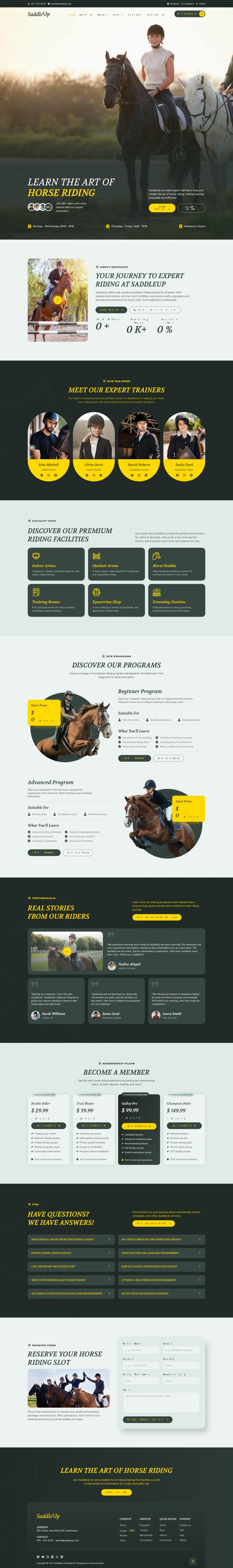 WordPress шаблон ThemeForest SaddleUp