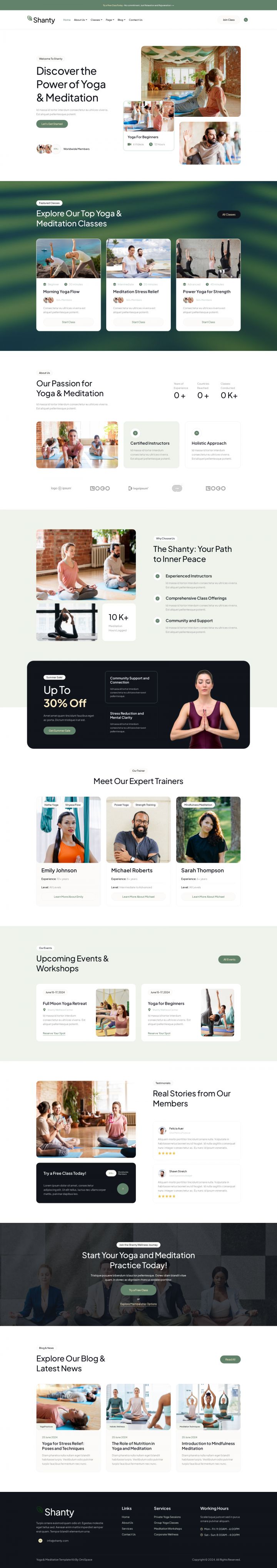 WordPress шаблон ThemeForest Shanty