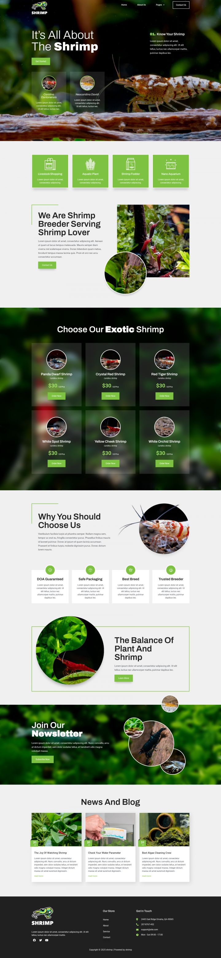 WordPress шаблон ThemeForest Shrimp